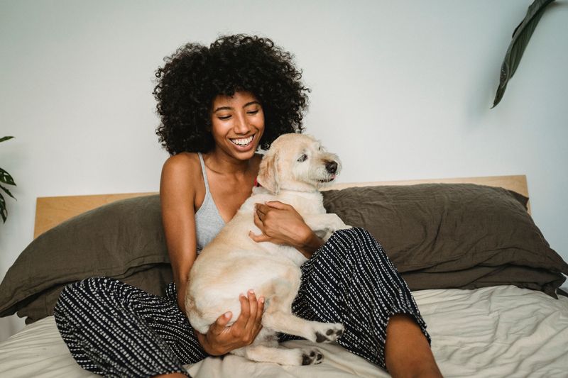 Pet Deposits Are Capped Statewide