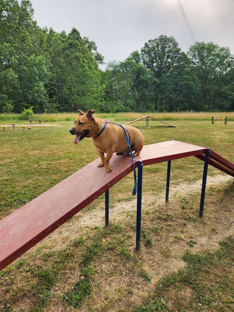 Aukerman Park, North Royalton