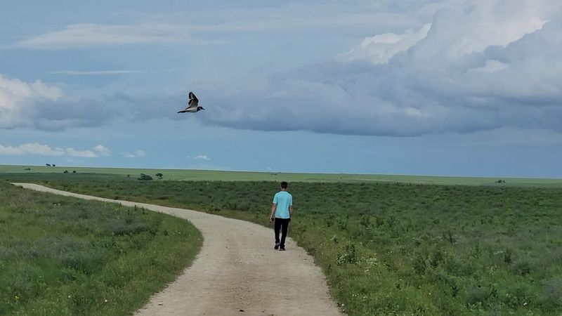 Tallgrass Prairie National Preserve, Strong City
