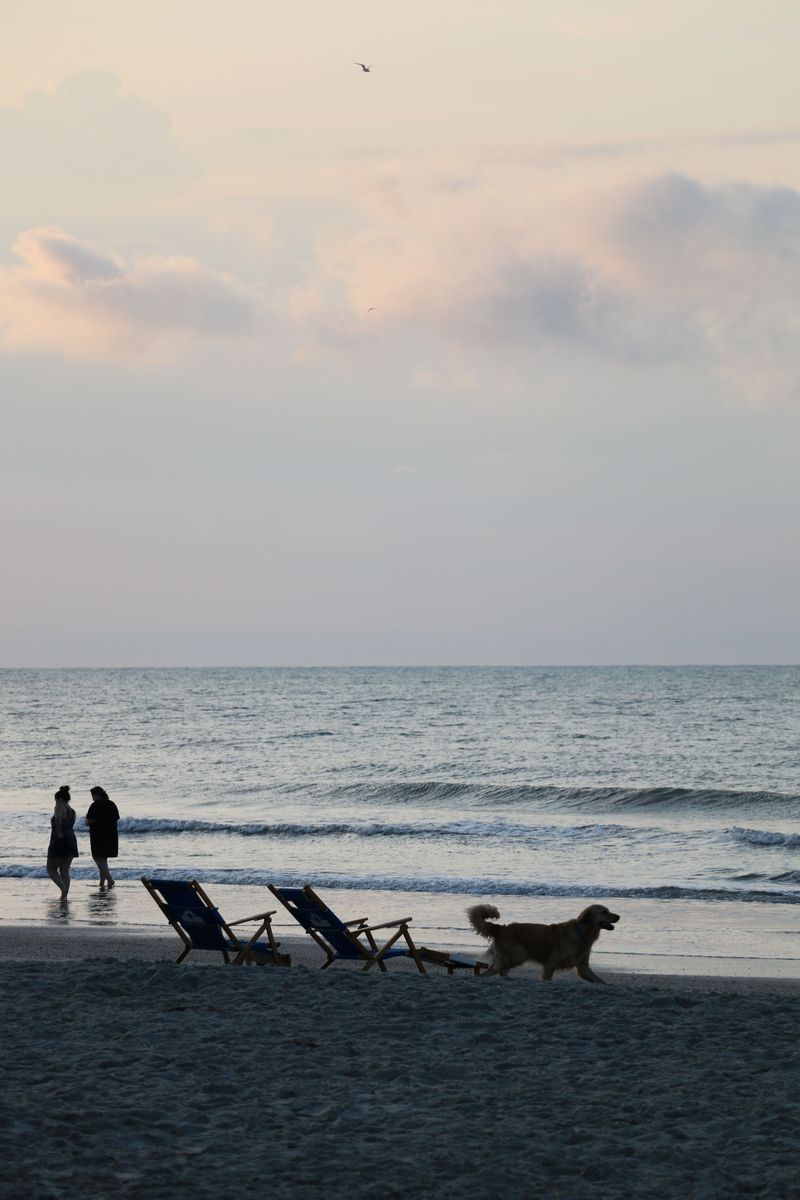 Folly Beach