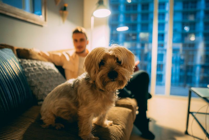 Pet Deposits Have Legal Limits