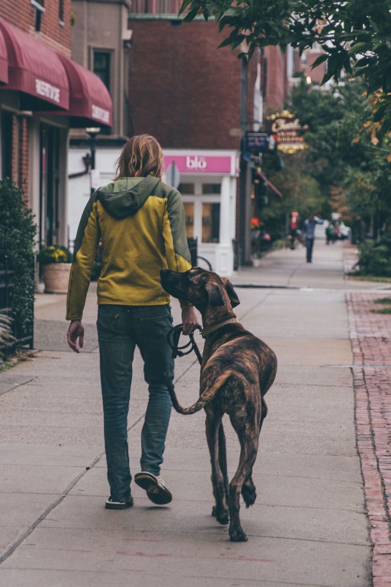 No Single Statewide Leash Rule Exists