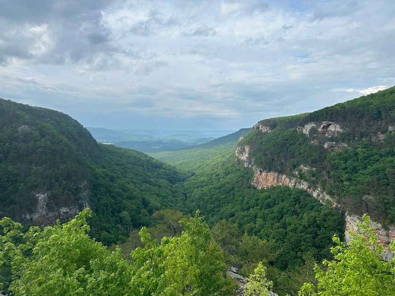 Cloudland Canyon State Park, Rising Fawn