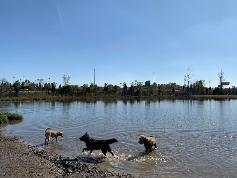 Beck Lake Off-Leash Dog Area, Des Plaines