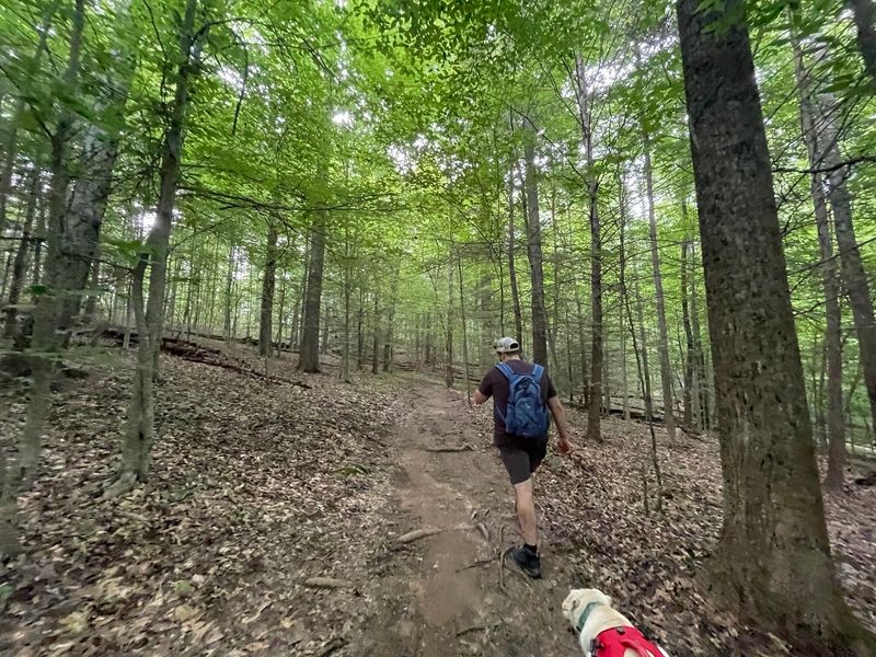 Red River Gorge Geological Area