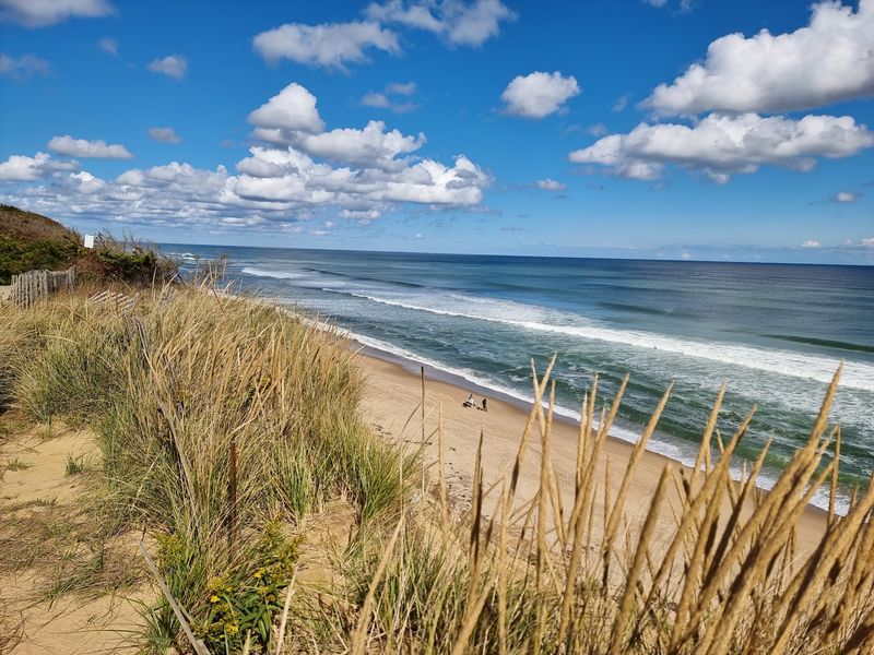 Cape Cod Is Made for a Relaxed Coastal Drive