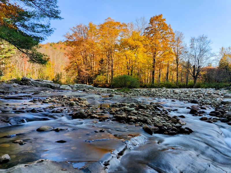 Explore the Green Mountain National Forest With Your Dog