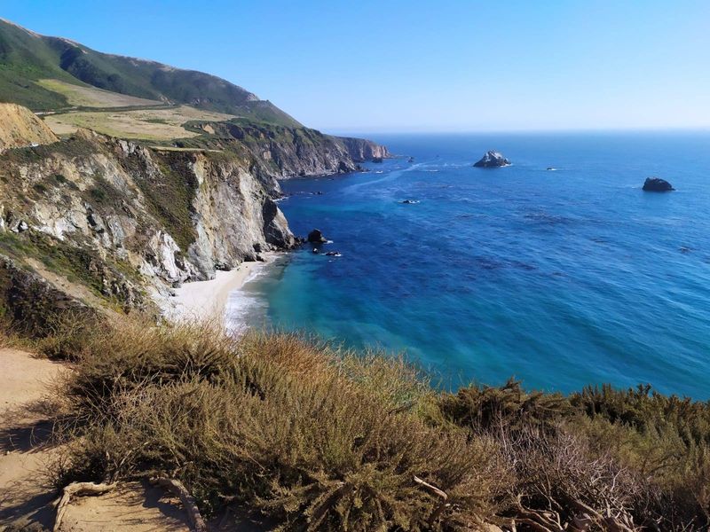Highway 1 From San Diego to Big Sur Makes a Classic Dog-Friendly Drive