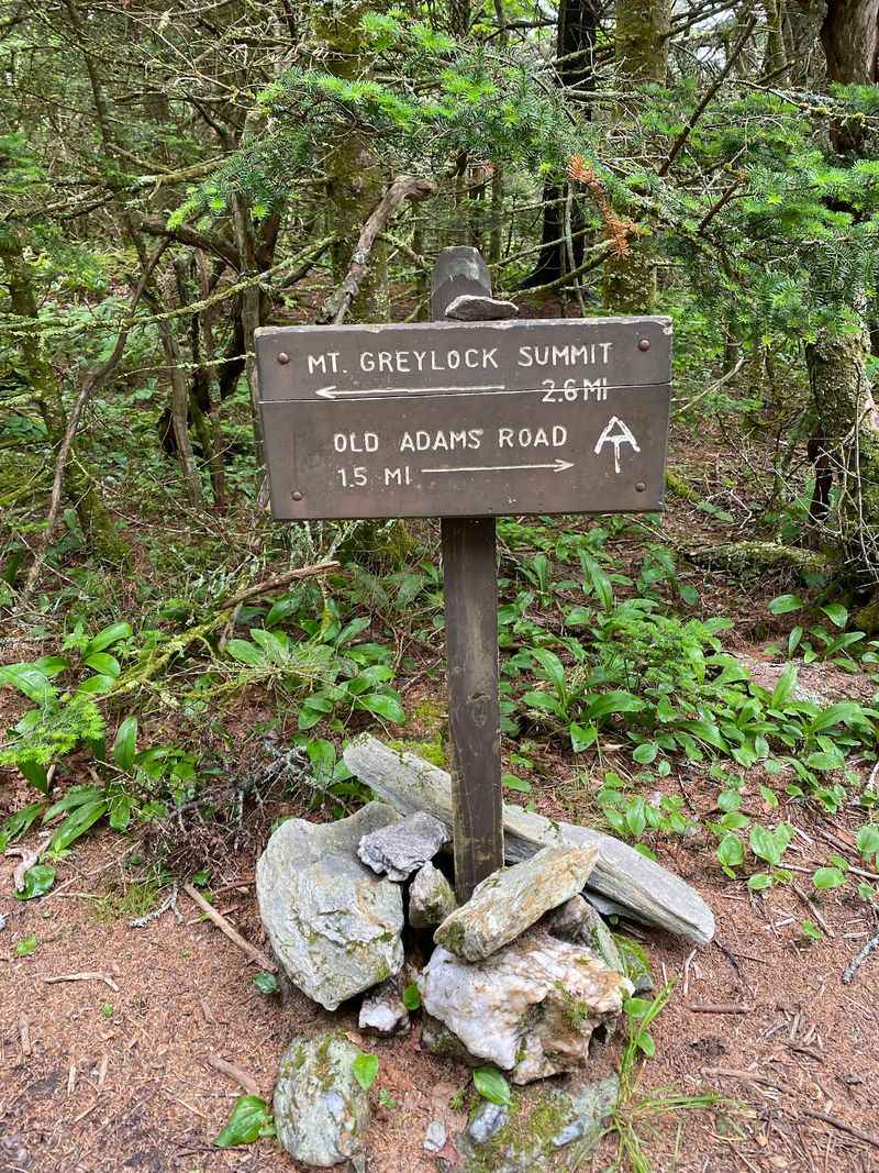 Mount Greylock State Reservation, Lanesborough