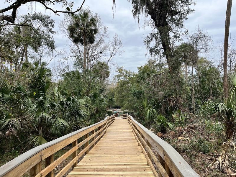 Hike the trails at Wekiwa Springs State Park
