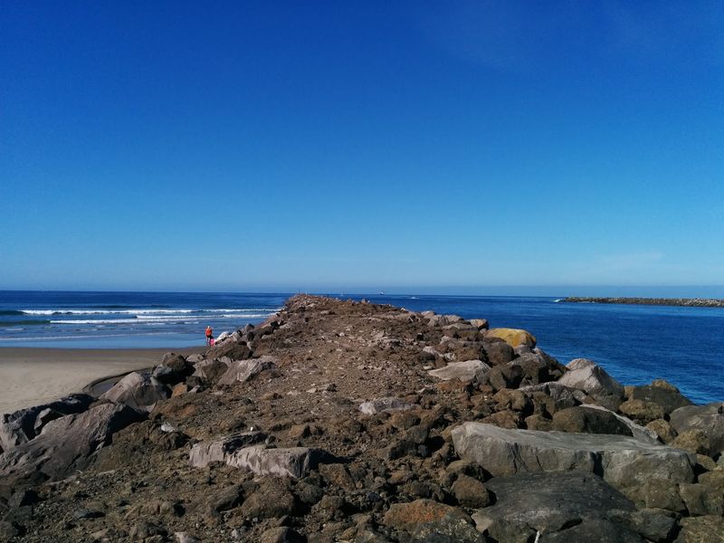 Old Jetty Trail, South Beach State Park (Newport)