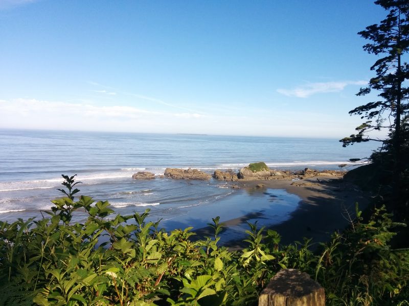 Walk The Kalaloch Beaches