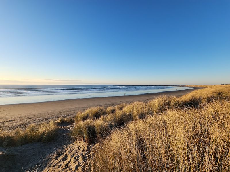 Hike and camp at South Beach State Park