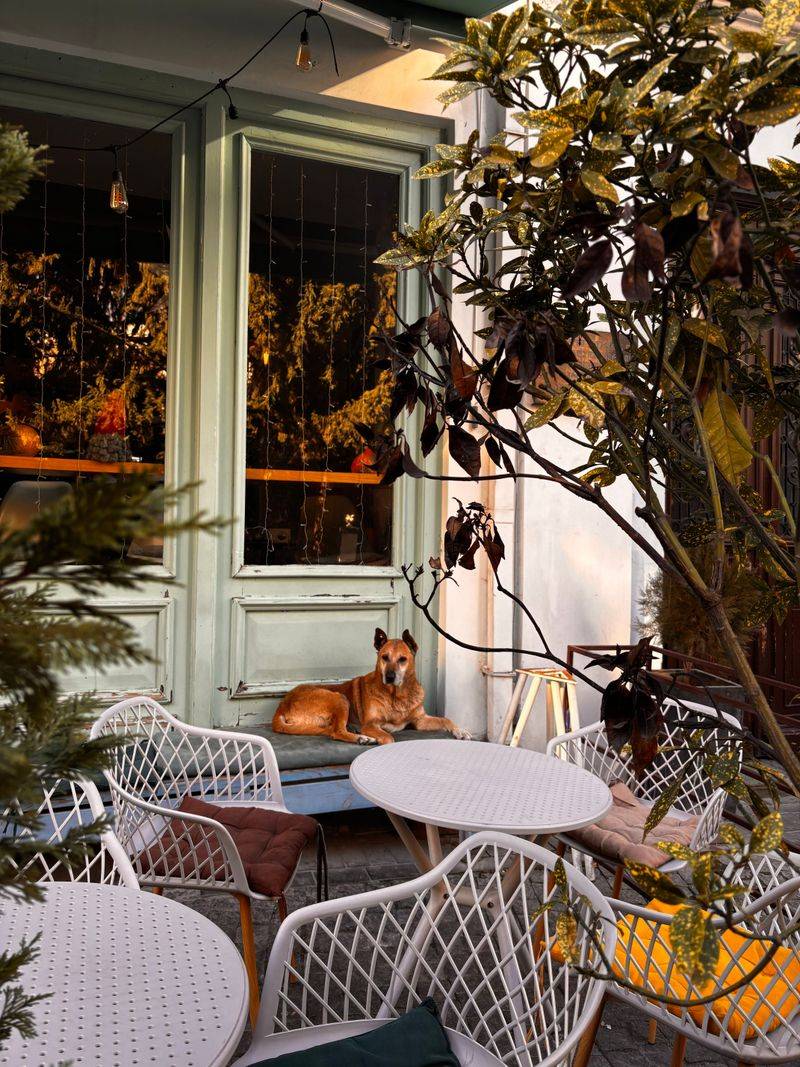 Muddy Paw Coffee, Los Angeles