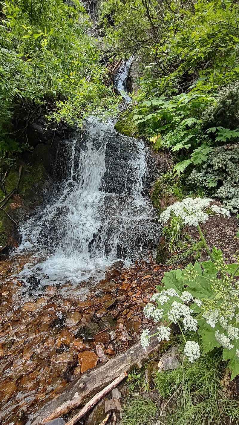 Grape Creek to Crystal Falls Trail, Westcliffe, Colorado