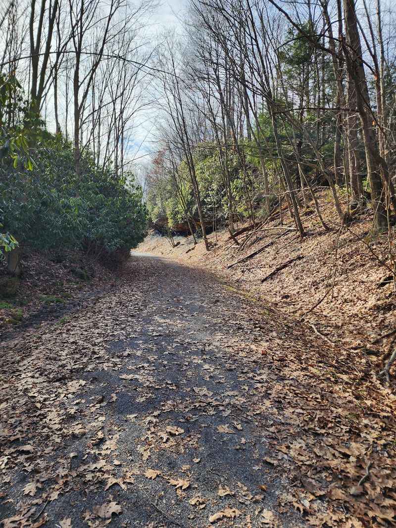 4. Ghost Town Trail (Cambria and Indiana Counties)
