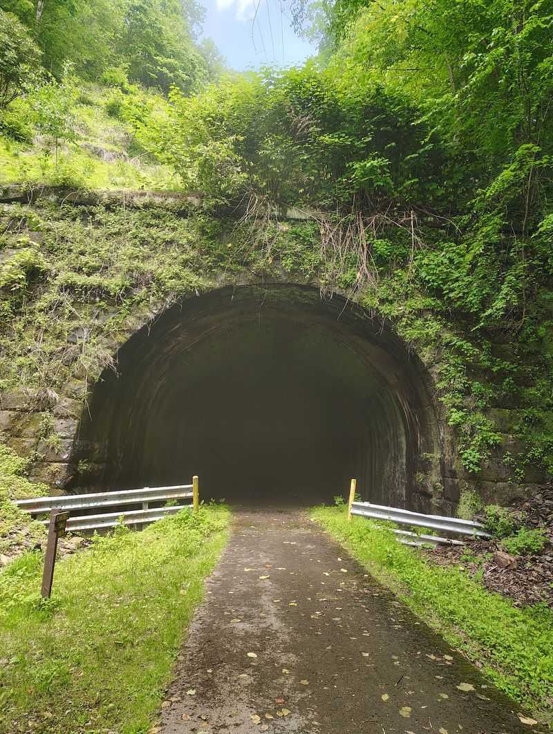 8. Allegheny River Trail (Venango County)
