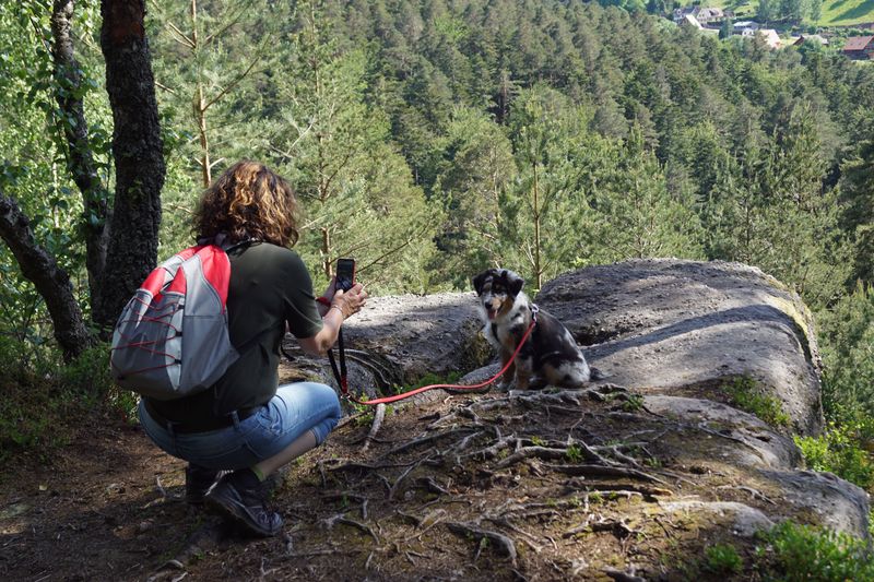 10. Australian Shepherd: Colorful and Trail Clever