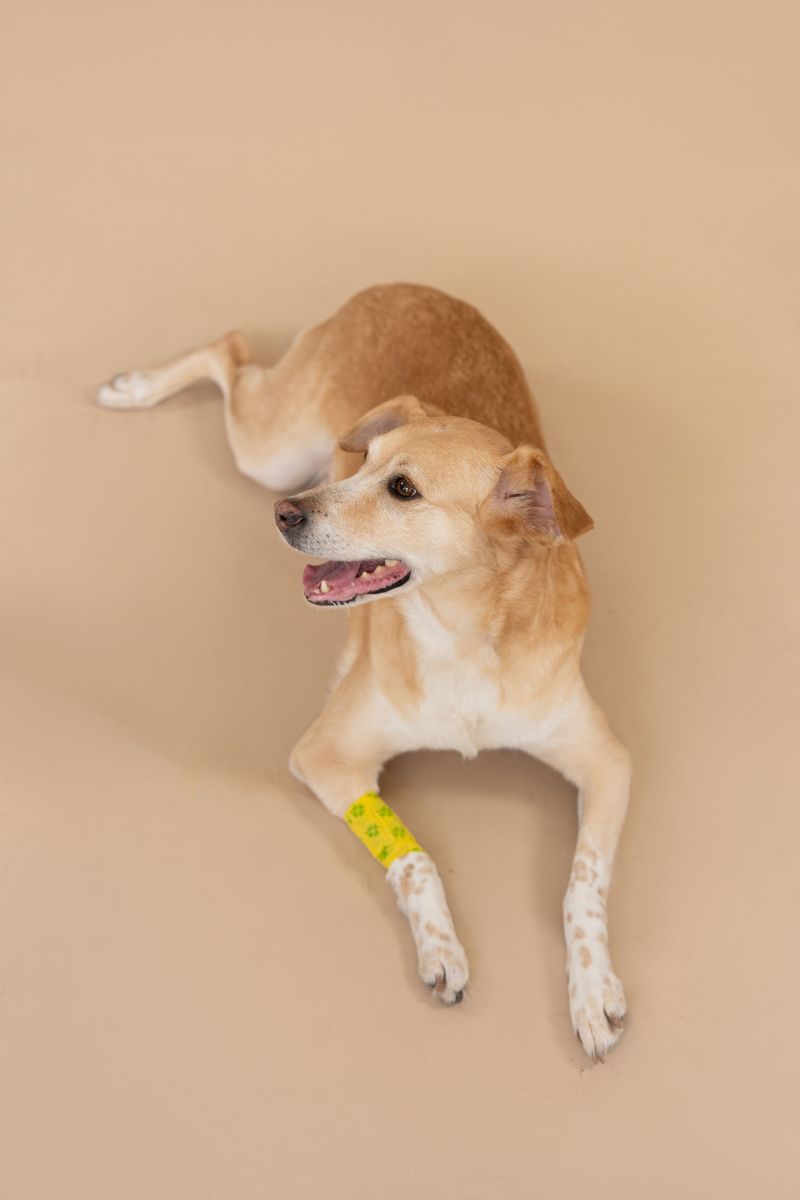 What Counts as a Severe Injury Under Pennsylvania Law