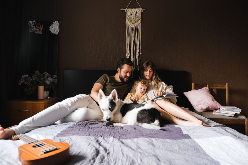 Protecting Your Dog Protects The Whole Household