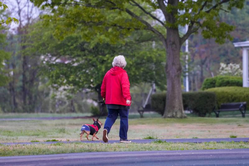 Small Dogs Deserve Company Outdoors