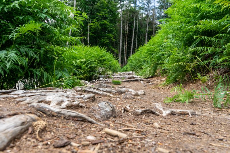 Watch The Edges Of The Trail