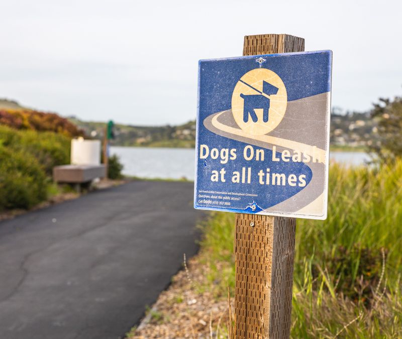 Texas Has No Single Statewide Leash Law