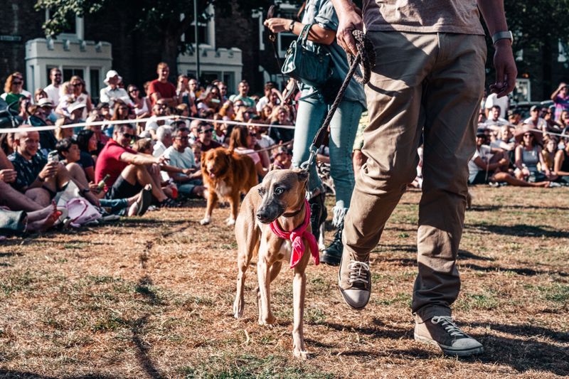 Summer crowds change the experience