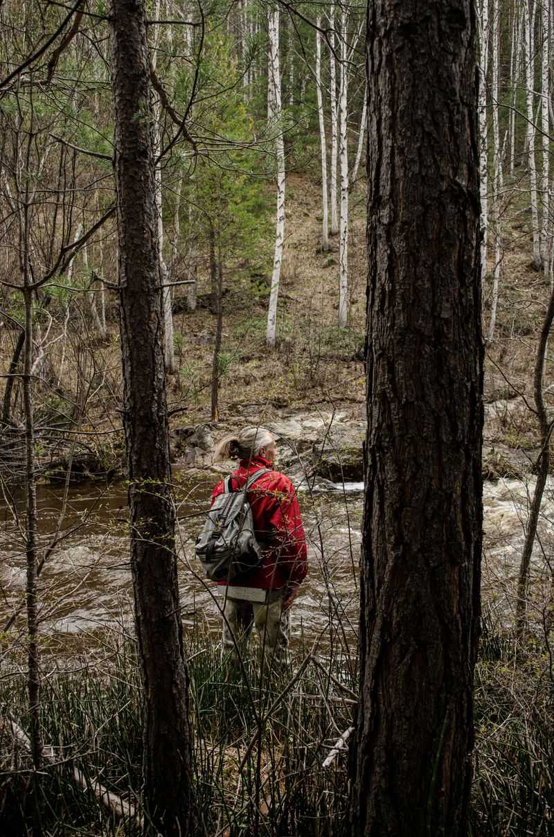 Never disrupt a lawful hunt