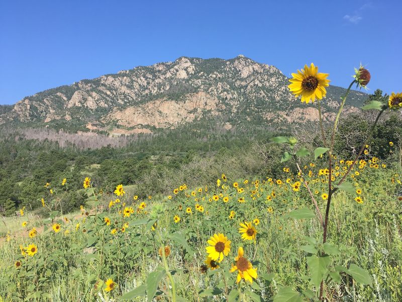Bobcat Way, Cheyenne Mountain State Park