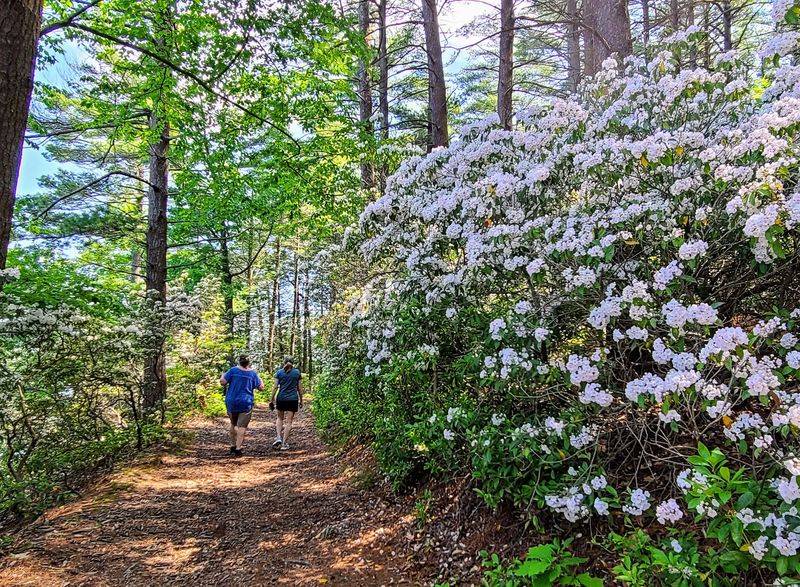 Maudslay State Park Is a Beautiful North Shore Detour