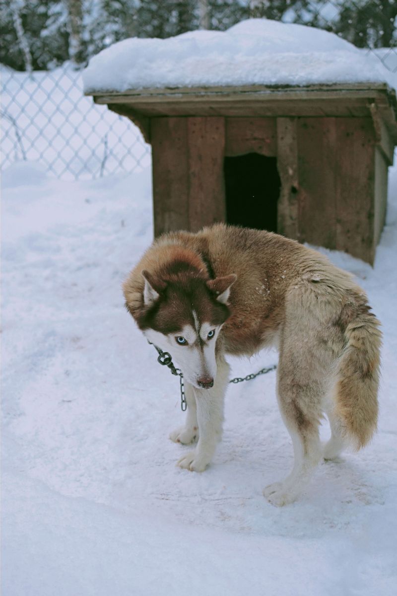 Cold-Weather Shelter Rules Often Come From Your City