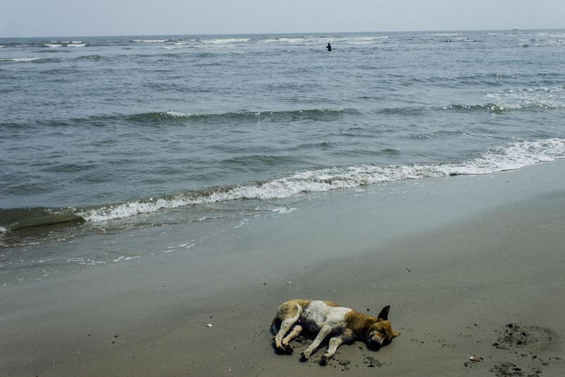 Town Beaches Can Have Different Rules