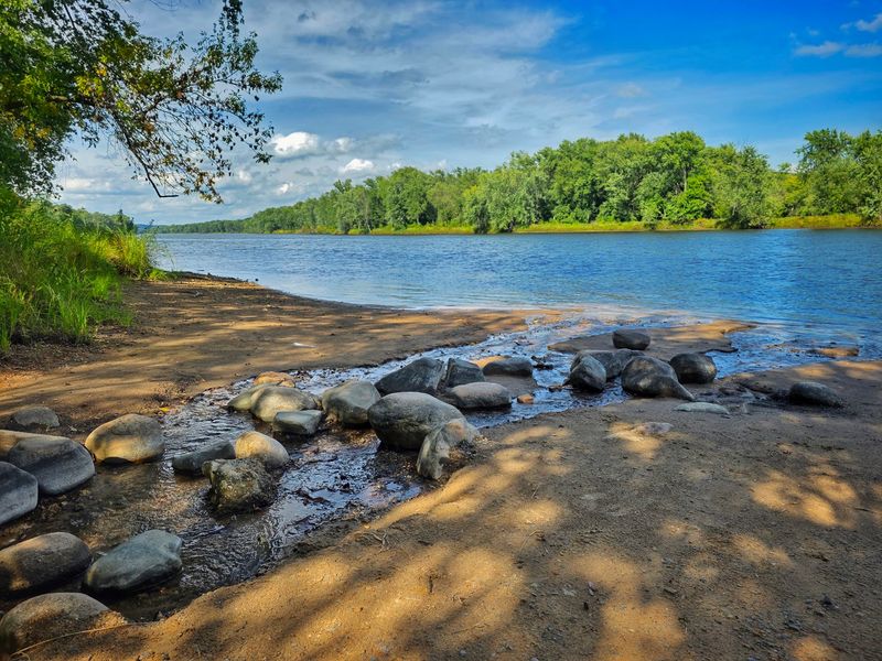 William O'Brien State Park Keeps Dogs Close To The St. Croix