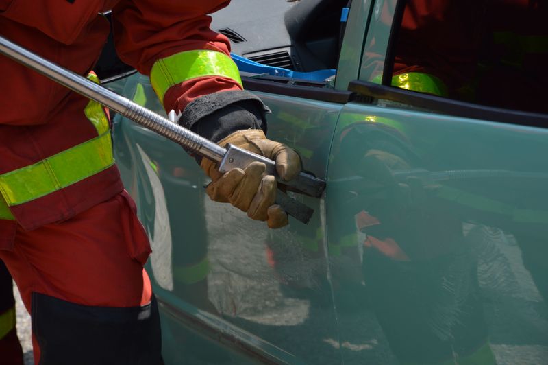 Certain Officials Can Enter Vehicles to Rescue Dogs
