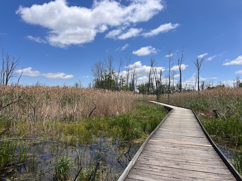 Maumee Bay State Park