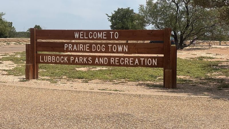 Lubbock: Hub City Hospitality for Happy Hounds