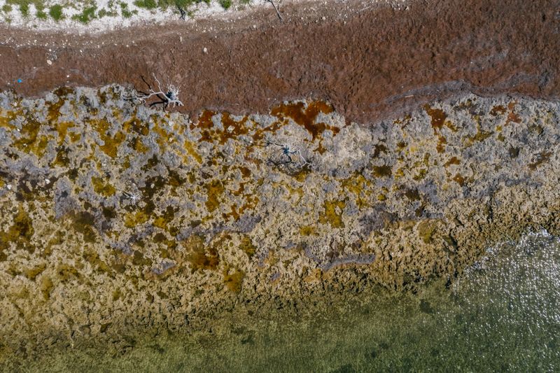 Crusty dried algae on the bank still holds risk