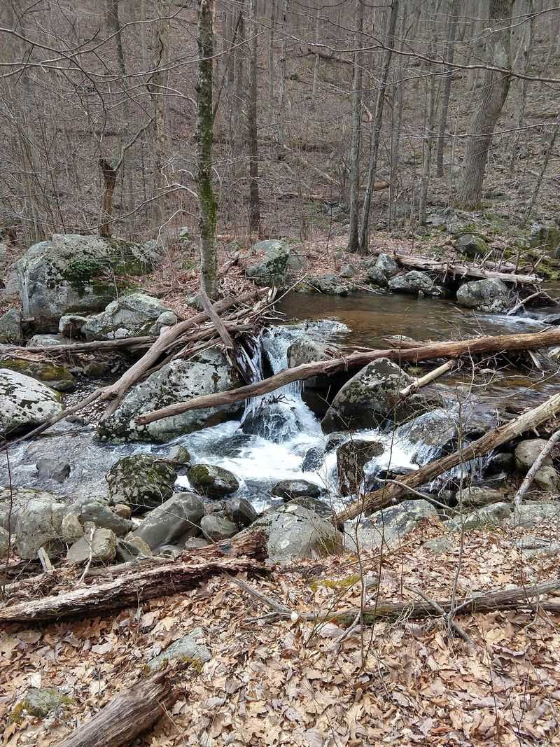Hazel River Trail