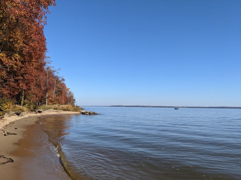 Leesylvania State Park Beach, Woodbridge