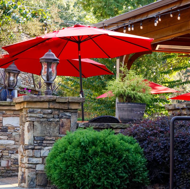 Roswell Dog-Friendly Town Weekend
