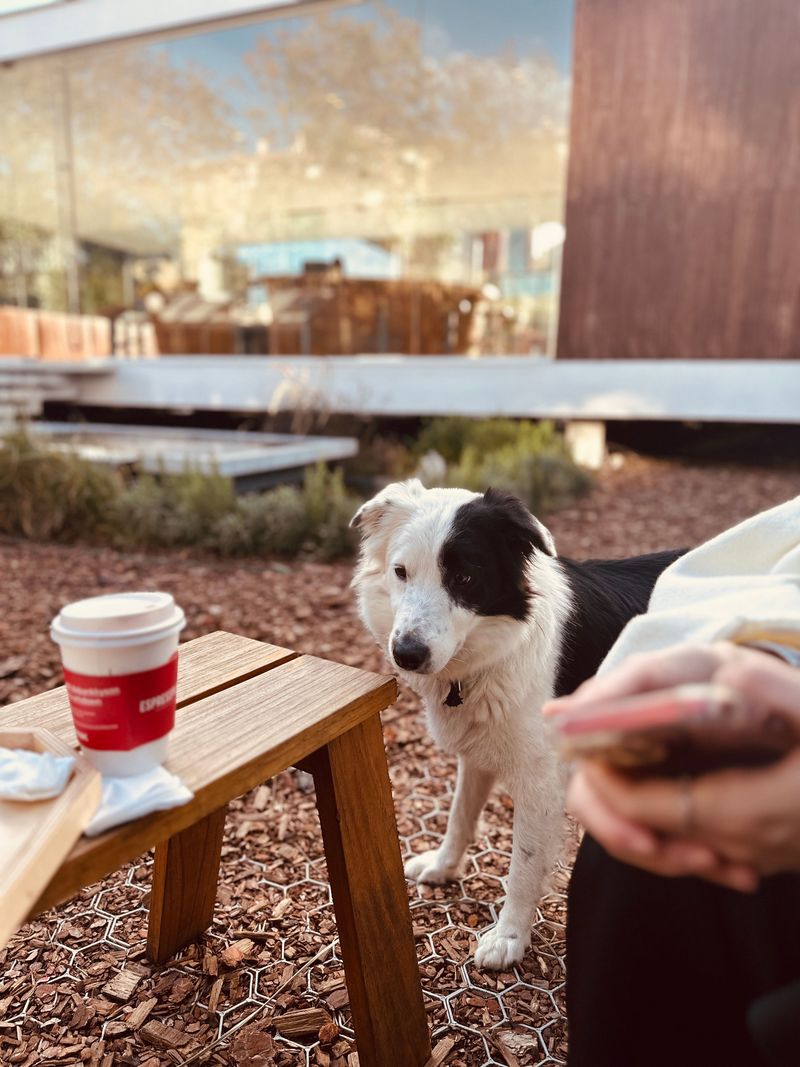 Condron Coffee, Riverside
