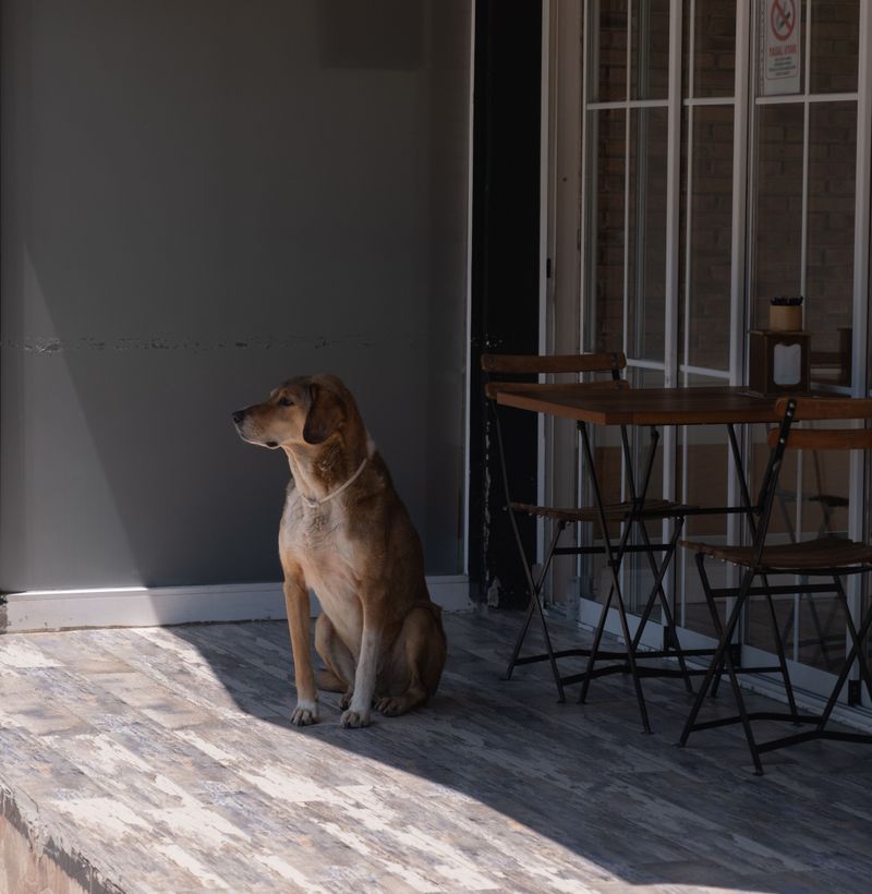 Arcade Coffee Roasters Bakehouse, Riverside