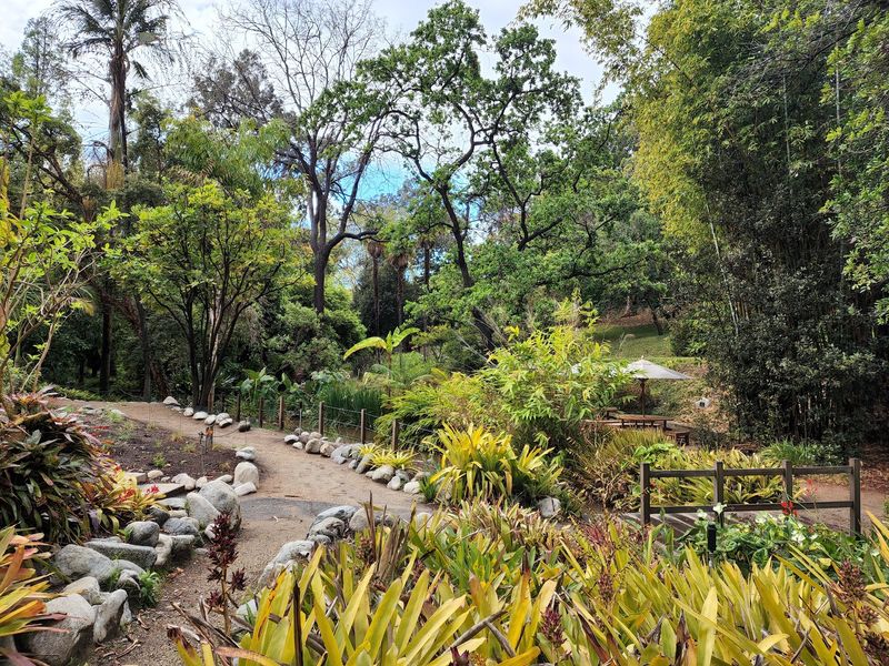 UCLA Mathias Botanical Garden - Los Angeles