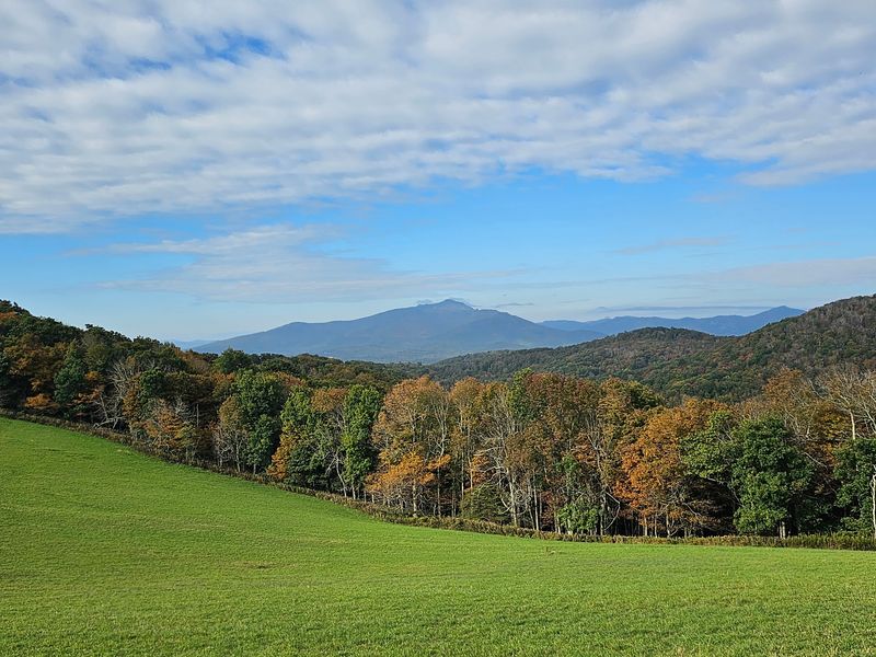 Boone
