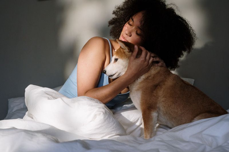 Stay Calm and Reassuring If Your Dog Becomes Frightened