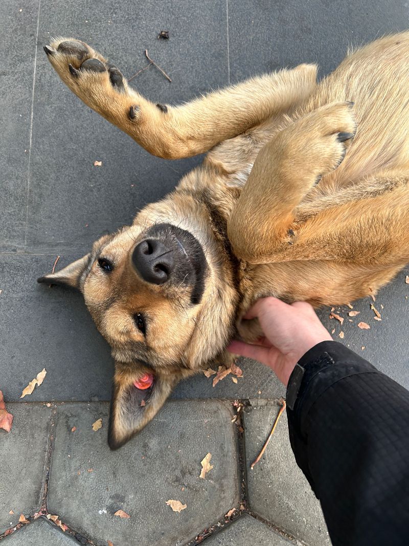 The Back Of Your Hand Is A Reliable Tester