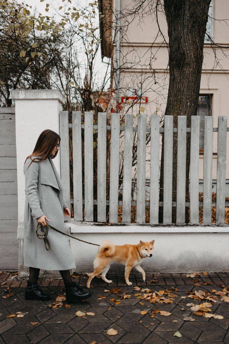 Dogs Must Be Confined or Under Reasonable Control