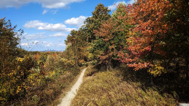 Bluebird Trail at West Creek Reservation, Parma