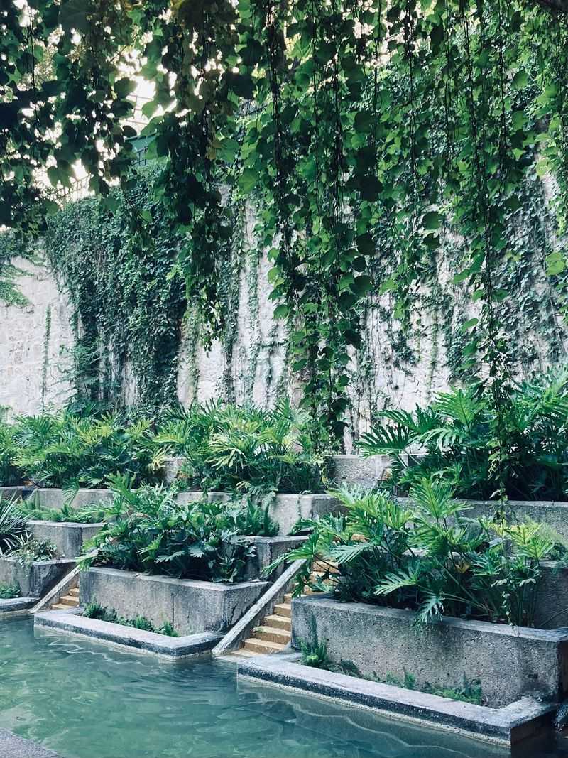 San Antonio: Paws on the River Walk